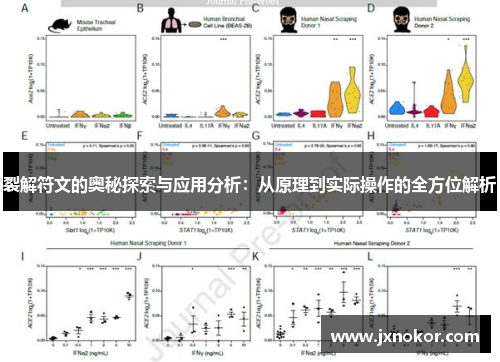 裂解符文的奥秘探索与应用分析：从原理到实际操作的全方位解析